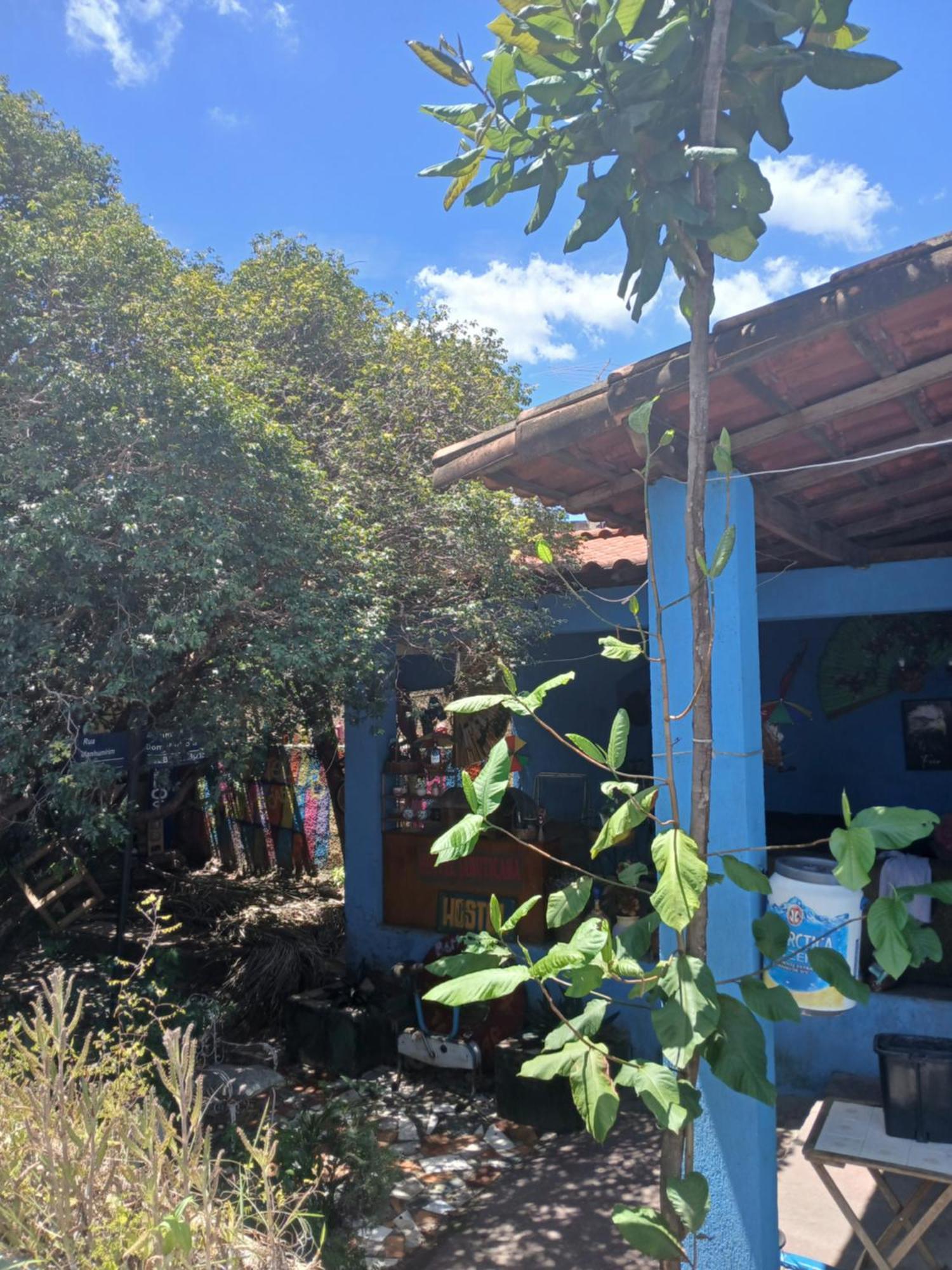 בלו הוריזונטה Hostel Jabuticaba מראה חיצוני תמונה